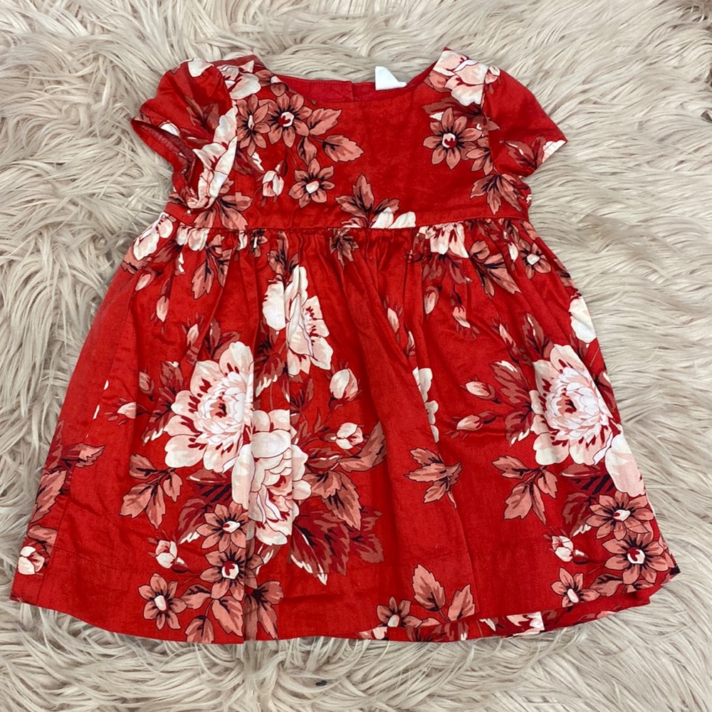 Floral Baby Gap Dress